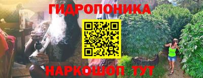 метадон Можга