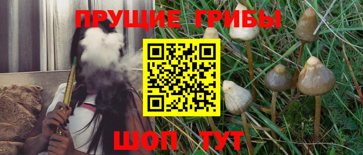 Галлюциногенные грибы Psilocybe  Галлюциногенные грибы мухоморы  хочу наркоту  Вход с VPN  Сыктывкар 